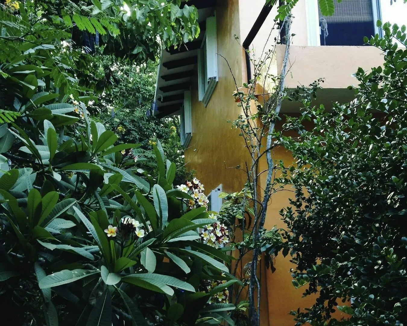 *** Hotel Villa Flor De Mayo Tulum Mexico