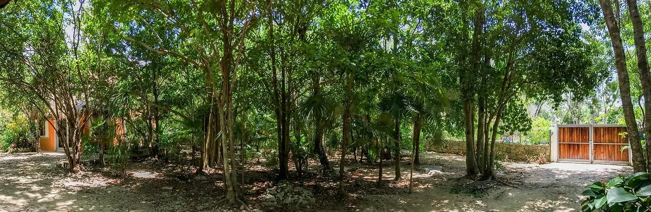 Villa Flor De Mayo Τουλούμ