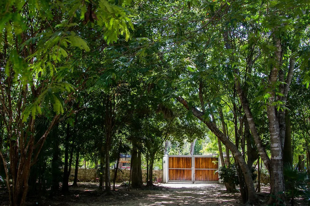 Villa Flor De Mayo Τουλούμ Ξενοδοχείο