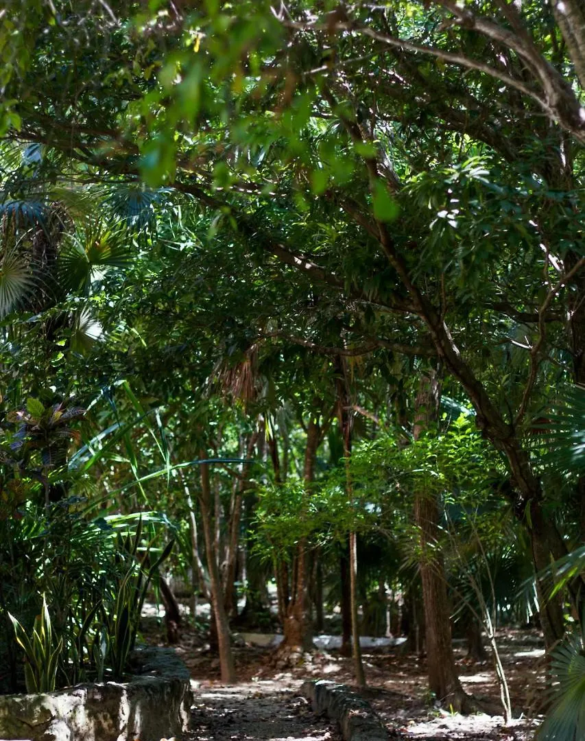 Villa Flor De Mayo Τουλούμ Ξενοδοχείο