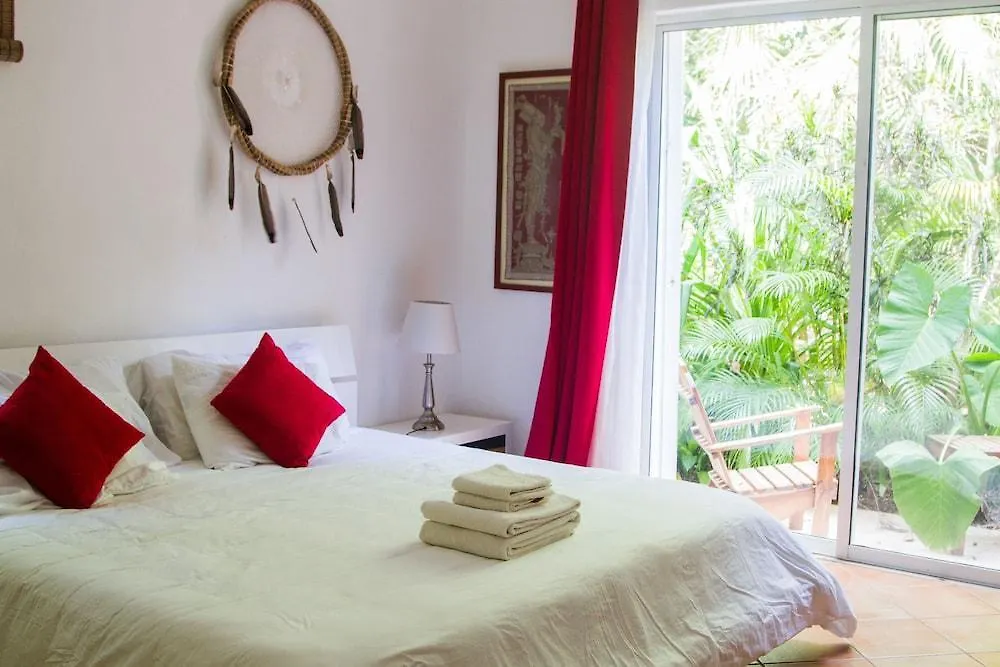 Villa Flor De Mayo Τουλούμ Μεξικό